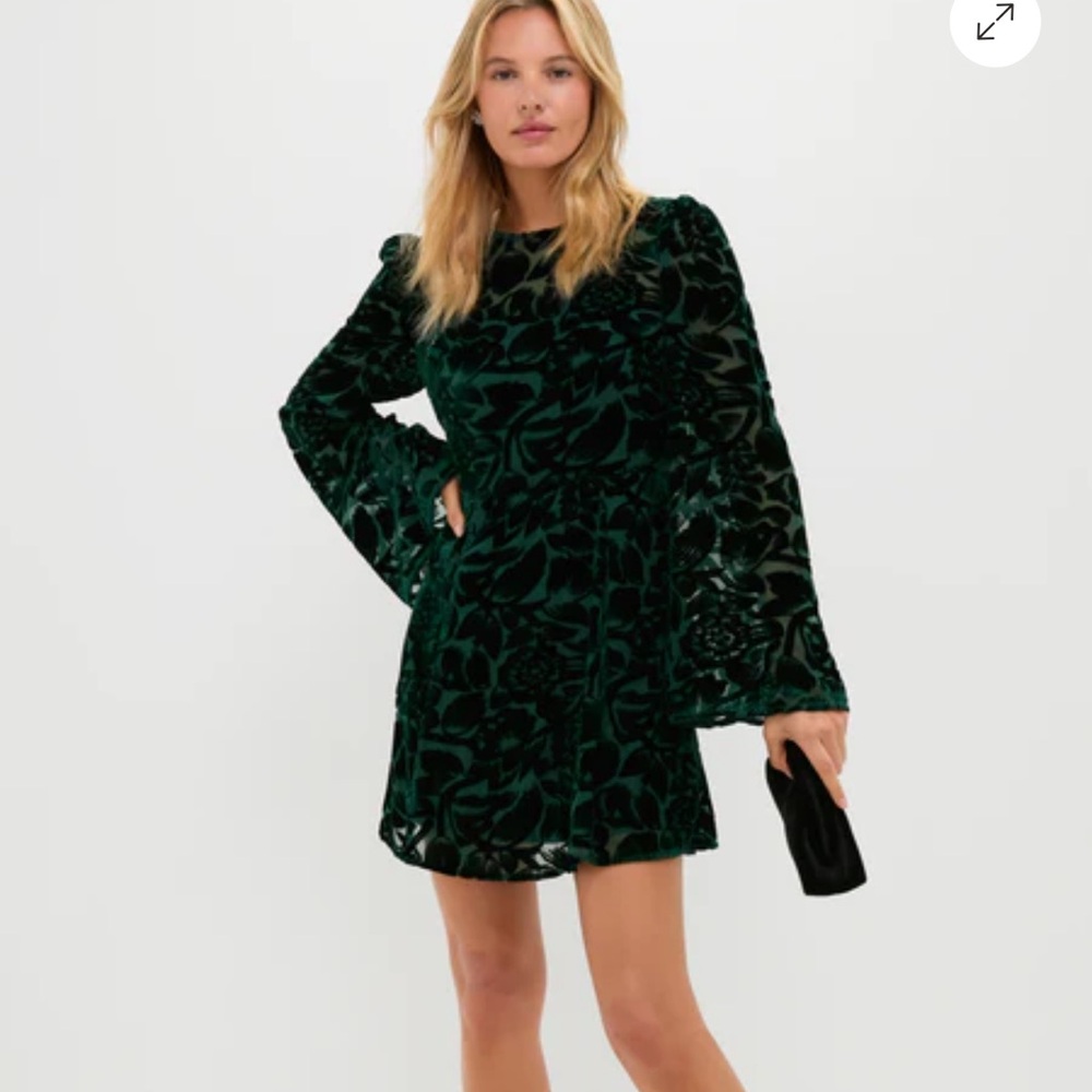 NWT - Tuckernuck - Emerald Green Burnout Velvet Oaklynn Mini Dress